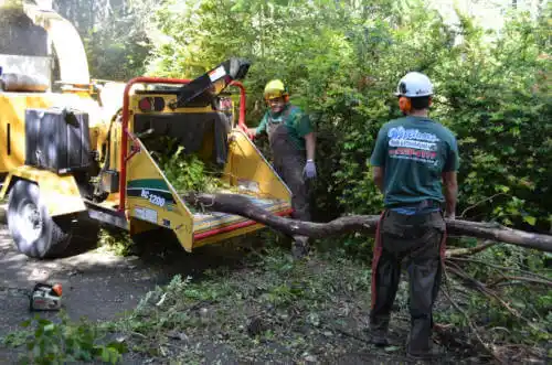 tree services Osburn